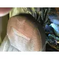 Previous Part Detail 1